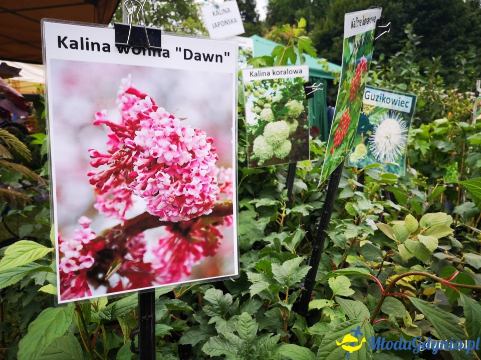 Regionalne smaki i ogrodowe inspiracje na Darach Ziemi