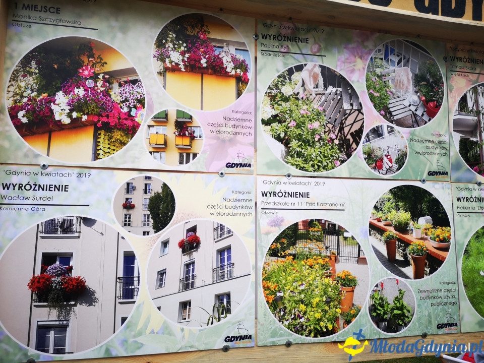 Regionalne smaki i ogrodowe inspiracje na Darach Ziemi