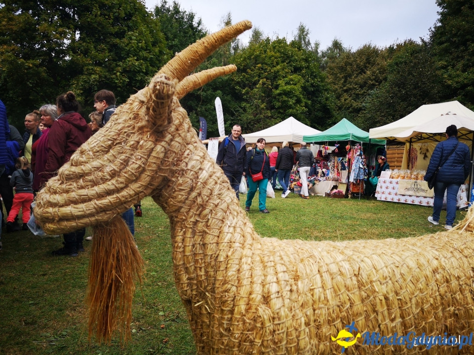 Regionalne smaki i ogrodowe inspiracje na Darach Ziemi