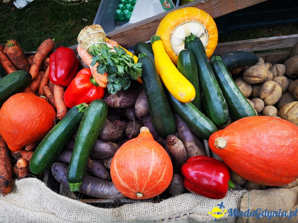 Regionalne smaki i ogrodowe inspiracje na Darach Ziemi