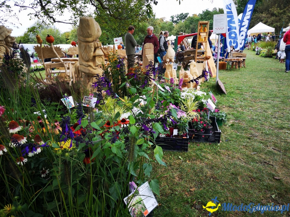 Regionalne smaki i ogrodowe inspiracje na Darach Ziemi