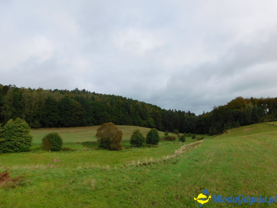 Aktywny Krajoznawczo Wielki Kack - wędrówka do kapliczki na stawie - 21.09.2019
