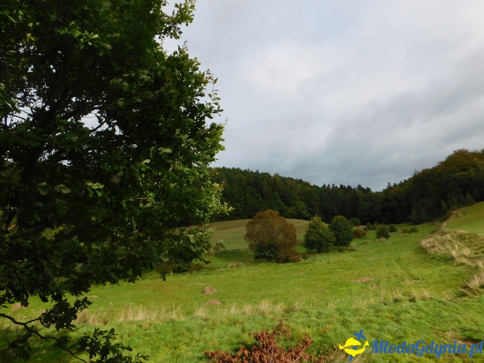 Aktywny Krajoznawczo Wielki Kack - wędrówka do kapliczki na stawie - 21.09.2019