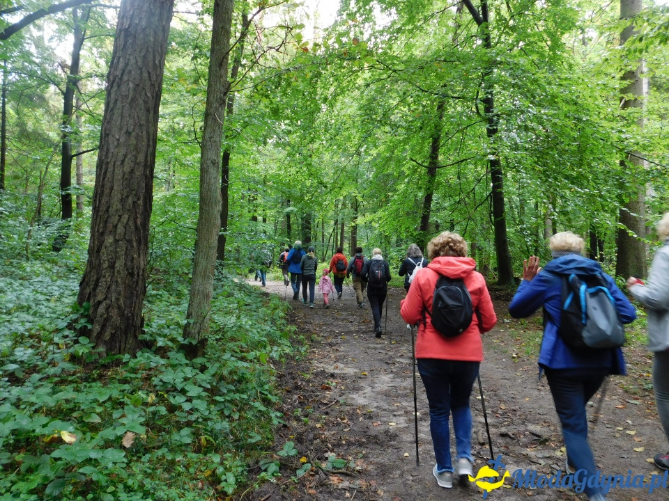 Aktywny Krajoznawczo Wielki Kack - wędrówka do kapliczki na stawie - 21.09.2019