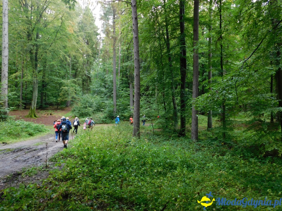 Aktywny Krajoznawczo Wielki Kack - wędrówka do kapliczki na stawie - 21.09.2019