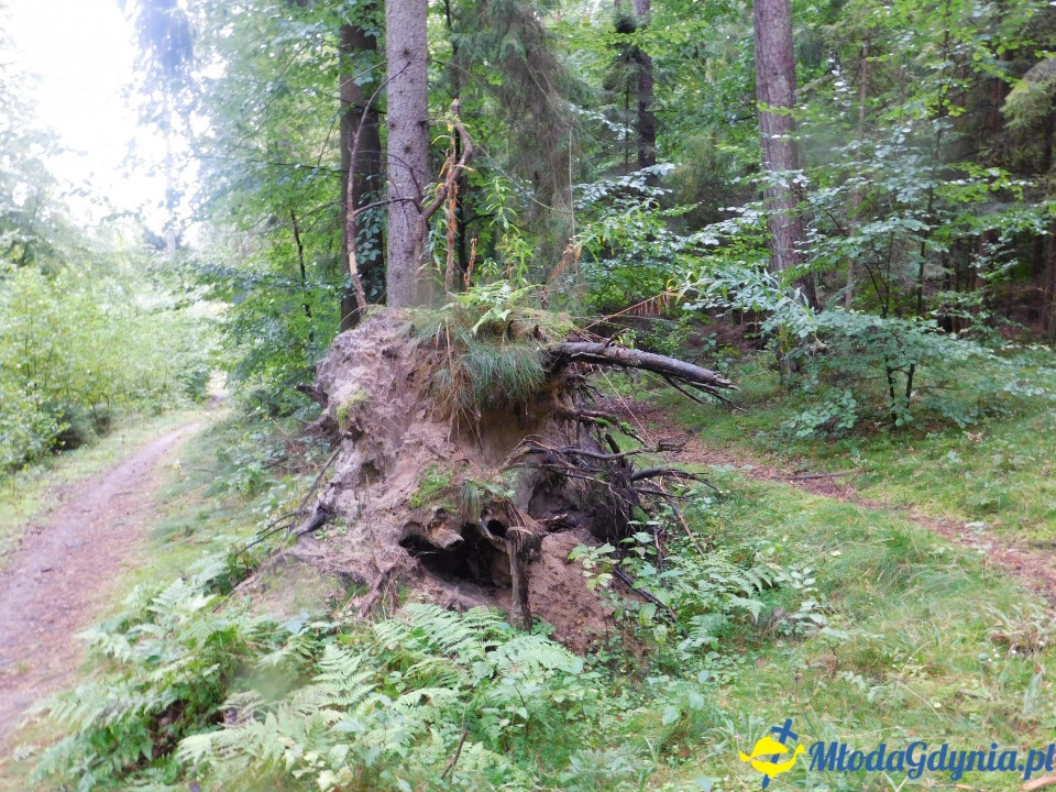 Aktywny Krajoznawczo Wielki Kack - wędrówka do kapliczki na stawie - 21.09.2019