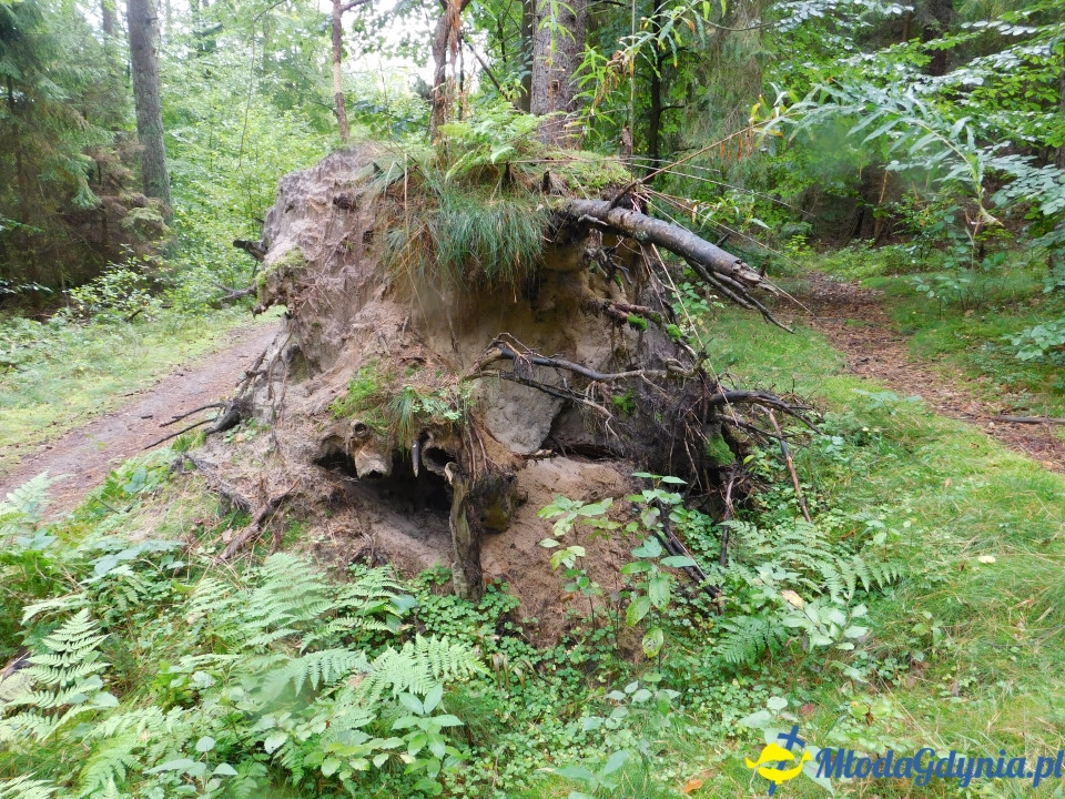 Aktywny Krajoznawczo Wielki Kack - wędrówka do kapliczki na stawie - 21.09.2019