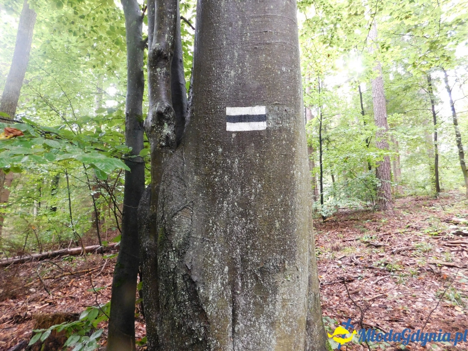 Aktywny Krajoznawczo Wielki Kack - wędrówka do kapliczki na stawie - 21.09.2019