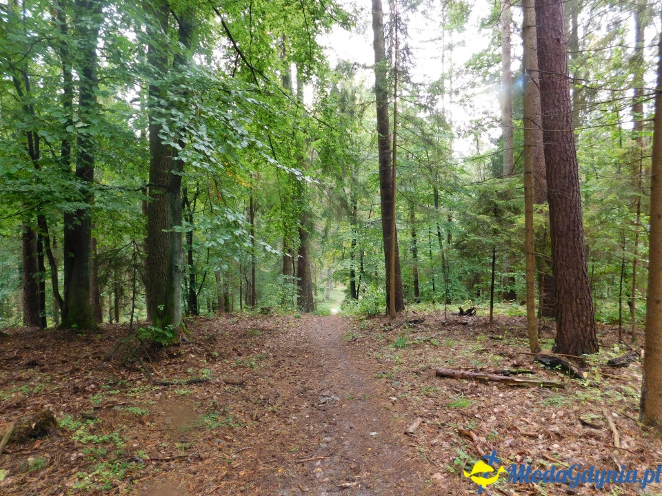 Aktywny Krajoznawczo Wielki Kack - wędrówka do kapliczki na stawie - 21.09.2019