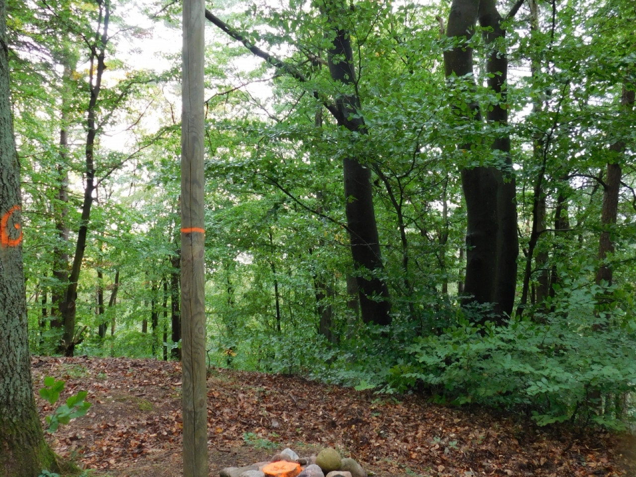 Aktywny Krajoznawczo Wielki Kack - wędrówka do kapliczki na stawie - 21.09.2019