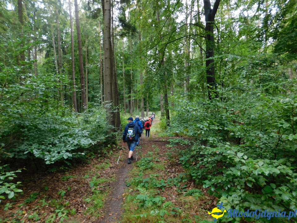 Aktywny Krajoznawczo Wielki Kack - wędrówka do kapliczki na stawie - 21.09.2019