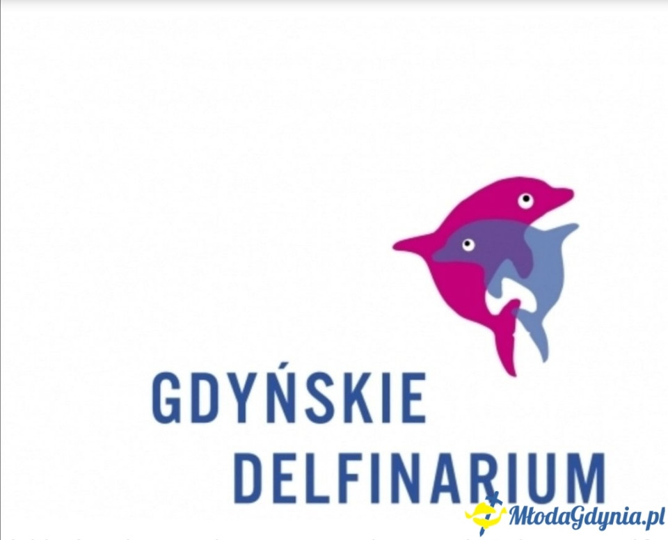 UKS 7 - Gdyńskie Delfinarium 2019-09-28