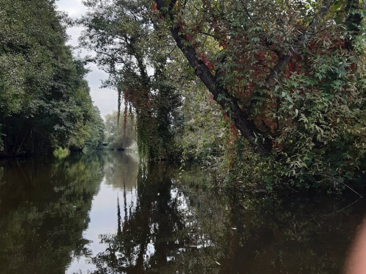 Spływ kajakowy rzeką REDA