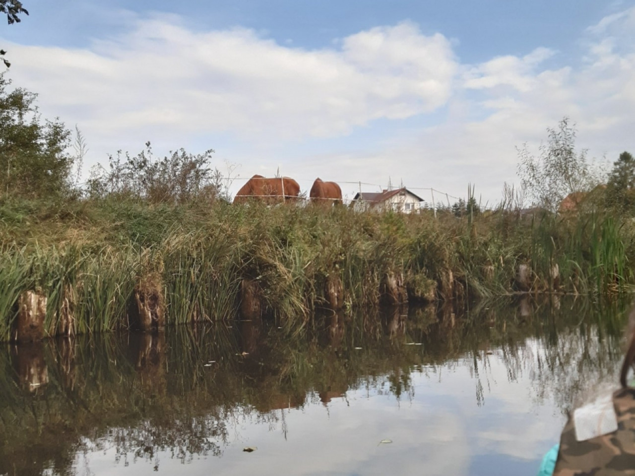 Spływ kajakowy rzeką REDA