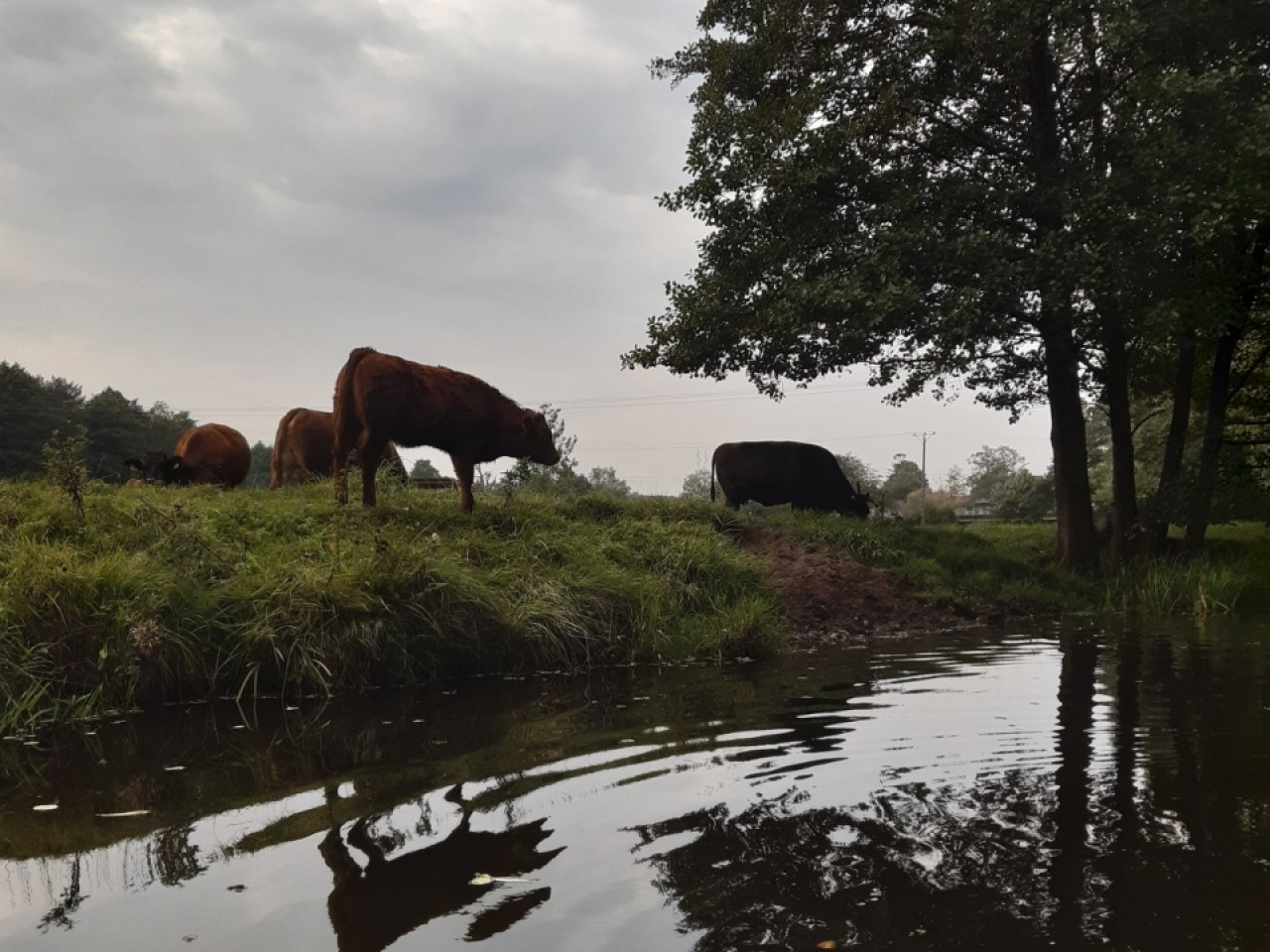 Spływ kajakowy rzeką REDA