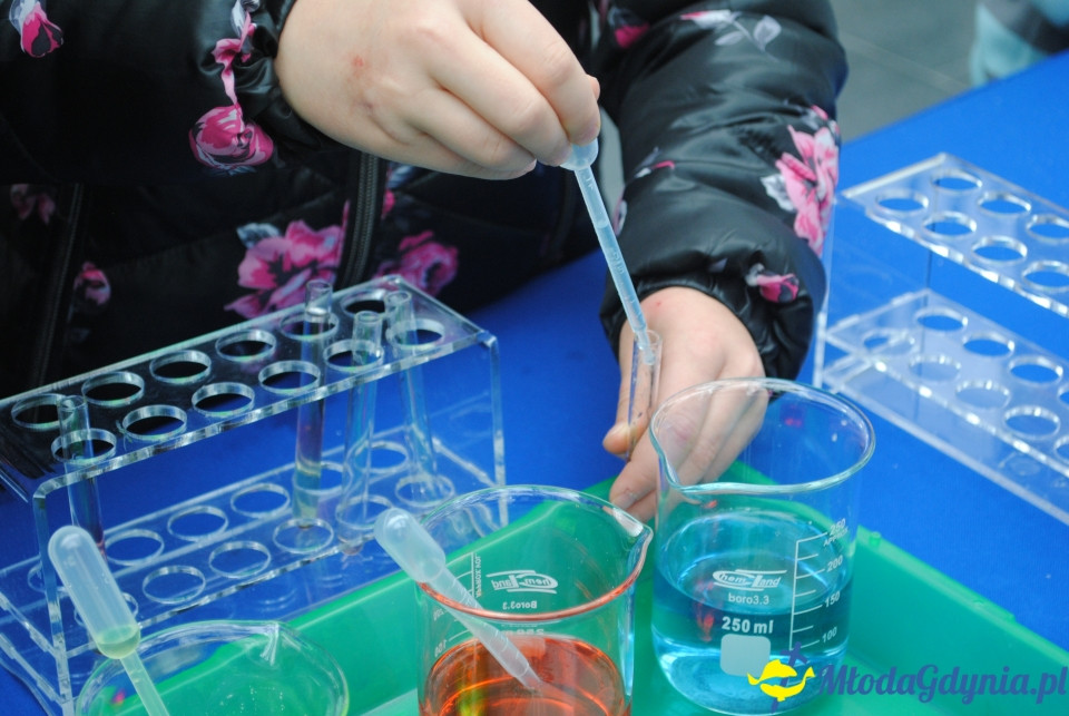 Gala Akademii Experymentu - 05.10.2019r.