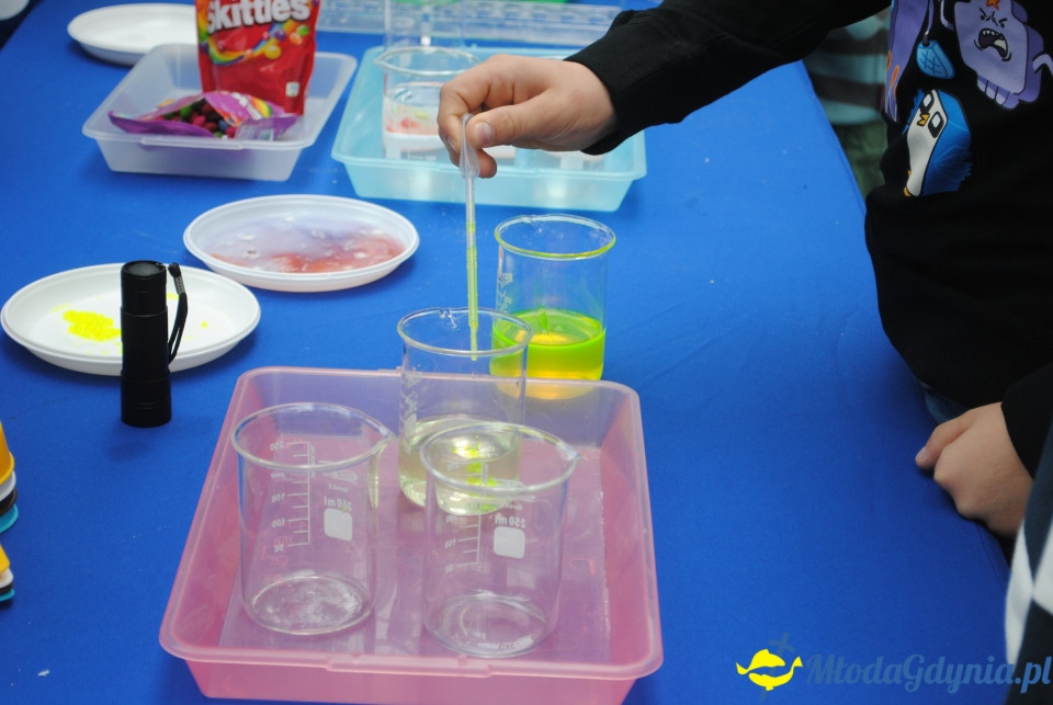 Gala Akademii Experymentu - 05.10.2019r.