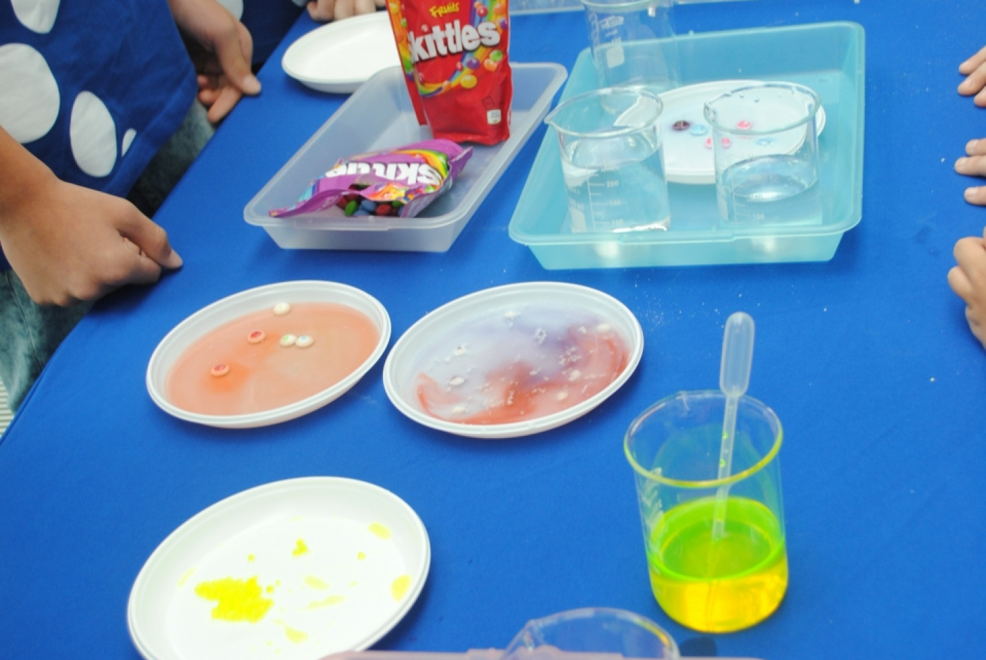 Gala Akademii Experymentu - 05.10.2019r.