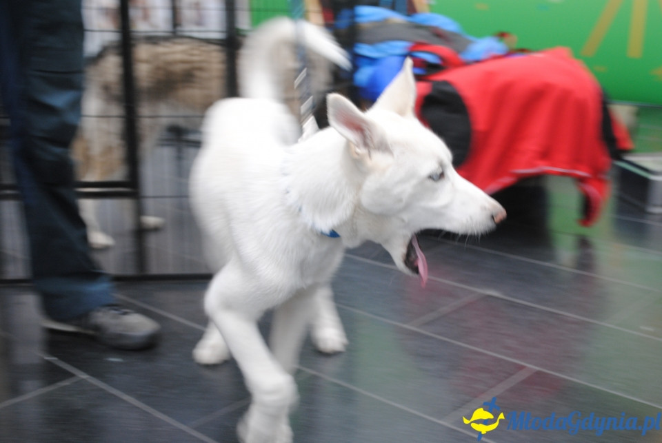 Gala Akademii Experymentu - 05.10.2019r.