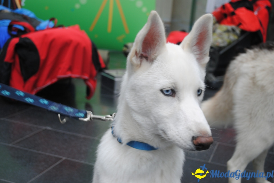 Gala Akademii Experymentu - 05.10.2019r.