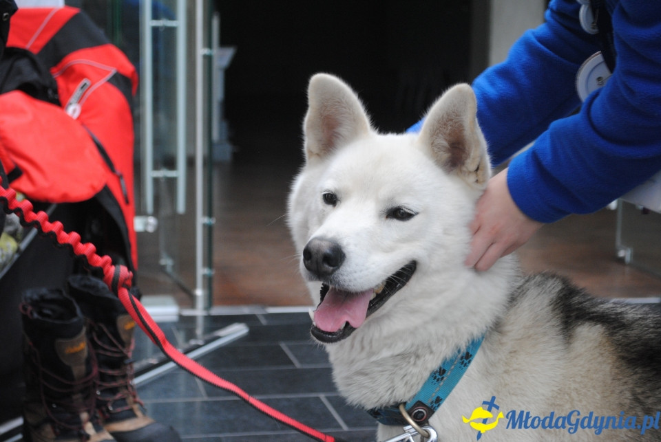 Gala Akademii Experymentu - 05.10.2019r.