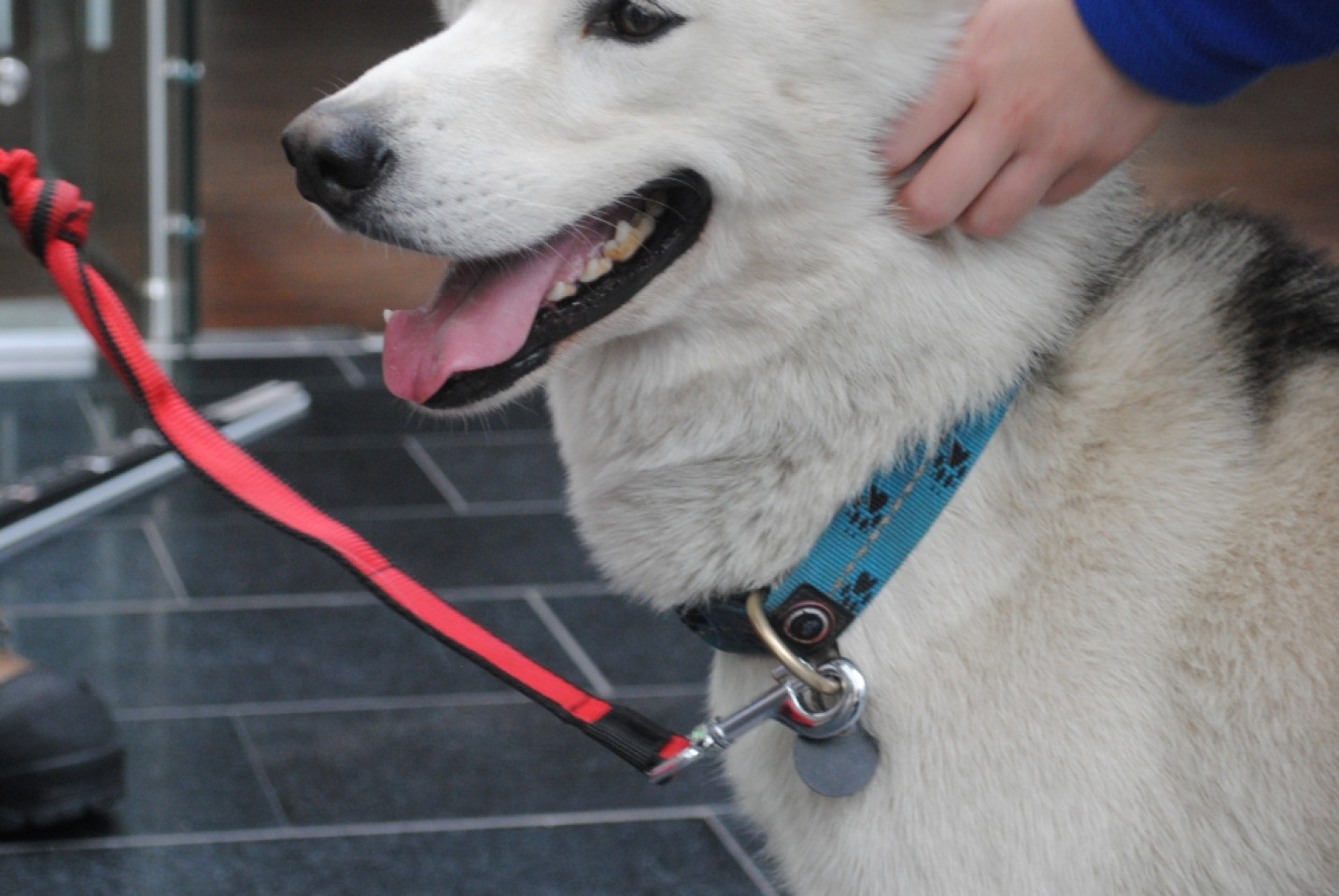 Gala Akademii Experymentu - 05.10.2019r.