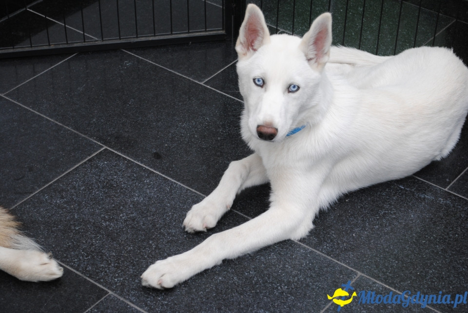 Gala Akademii Experymentu - 05.10.2019r.