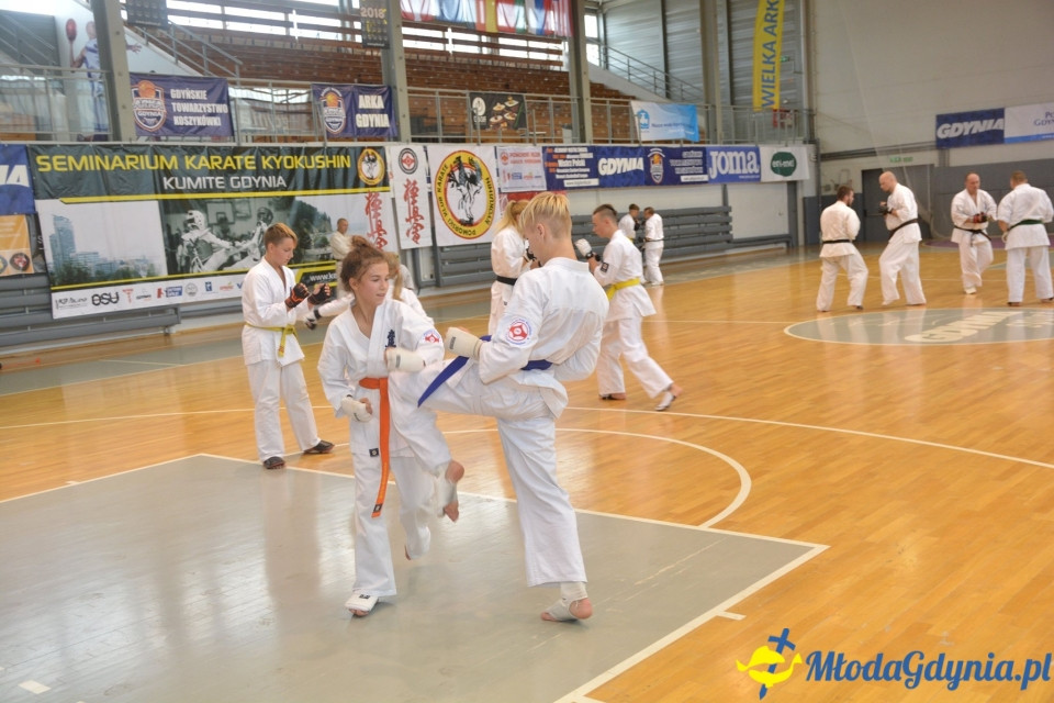PKKK - I Seminarium Kumite Gdynia 2019