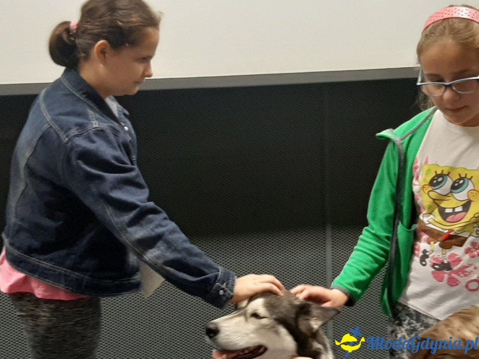 Akademia Experymentu - inauguracja 19.10.2019