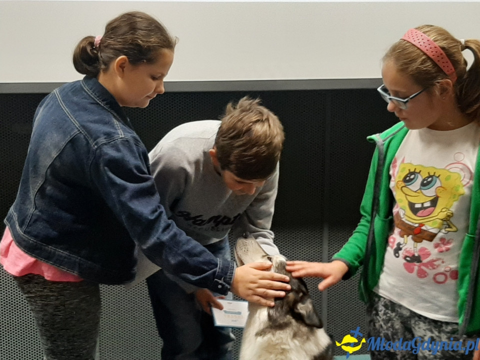 Akademia Experymentu - inauguracja 19.10.2019