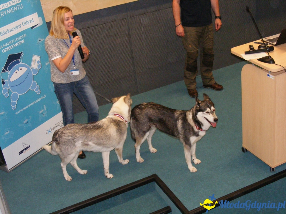 Akademia Experymentu - inauguracja 19.10.2019