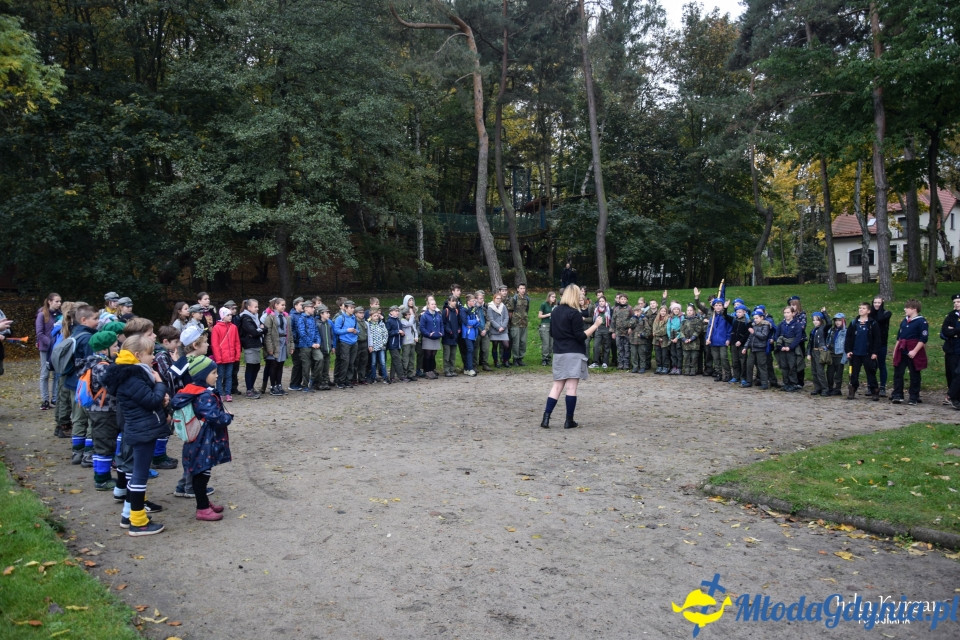 Start Hufca ZHP Gdynia 2019