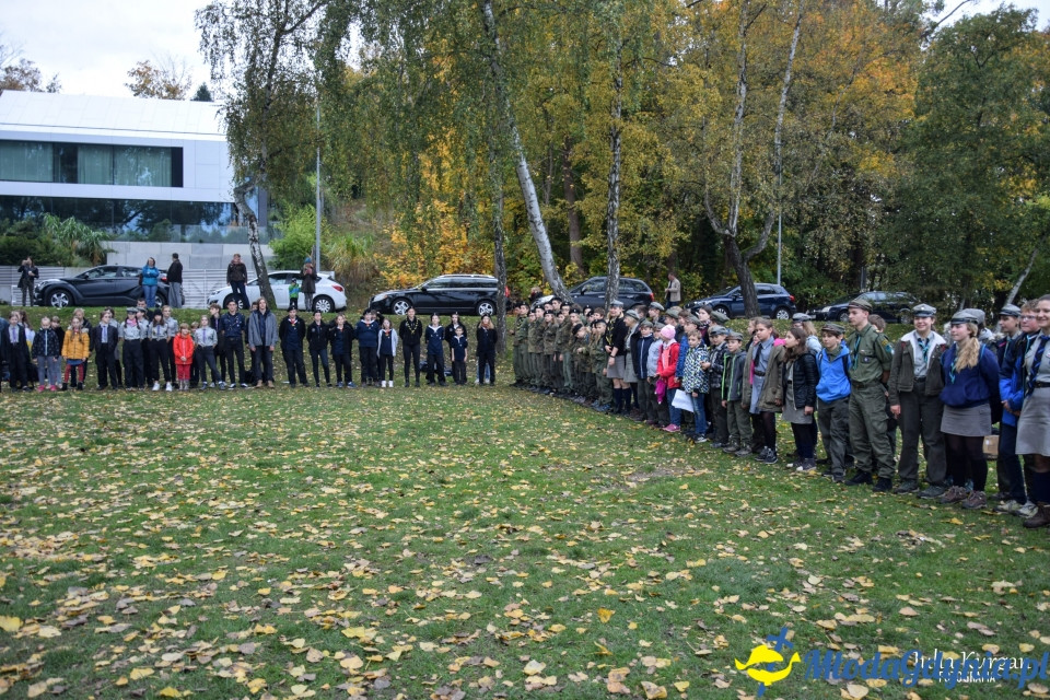 Start Hufca ZHP Gdynia 2019