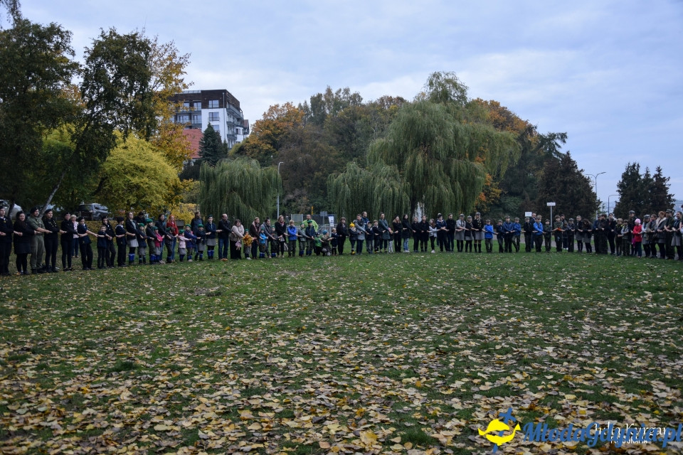 Start Hufca ZHP Gdynia 2019