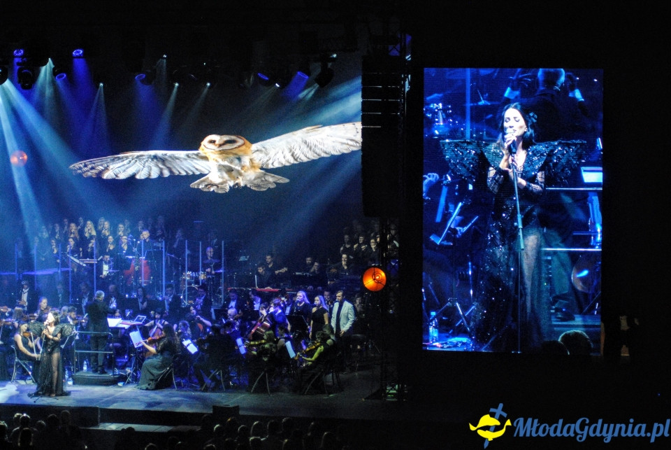 2.Tribute to Gdynia Arena - 18.10.2019