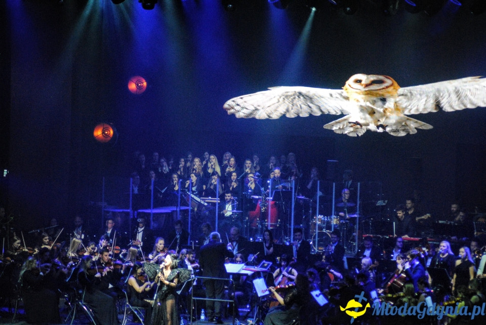 2.Tribute to Gdynia Arena - 18.10.2019