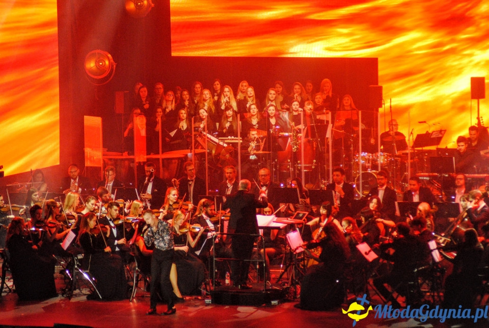 2.Tribute to Gdynia Arena - 18.10.2019