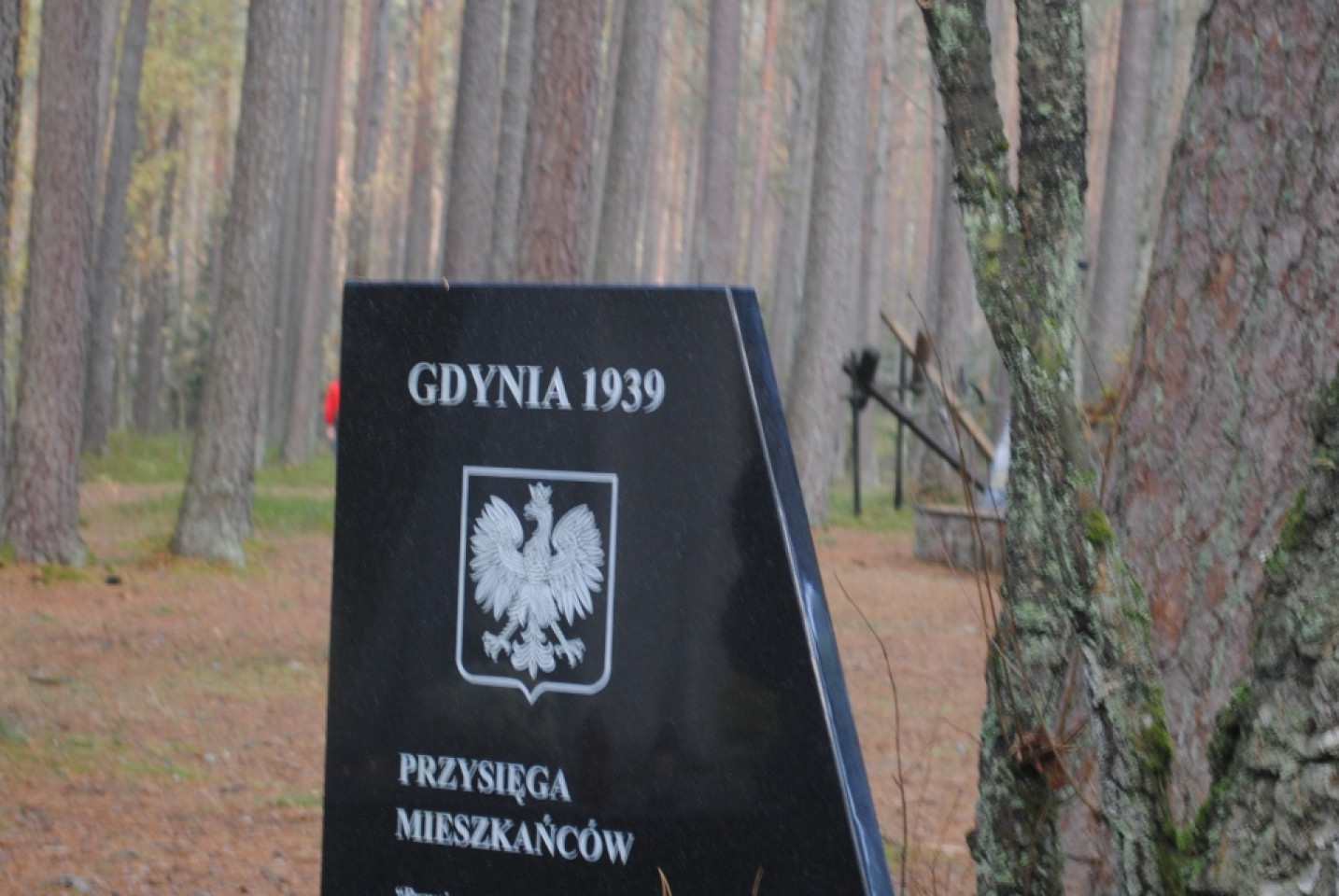 Ekonomik w Piaśnicy - 25.10.2019r.