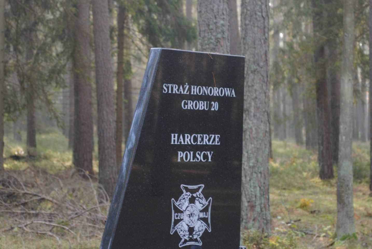 Ekonomik w Piaśnicy - 25.10.2019r.