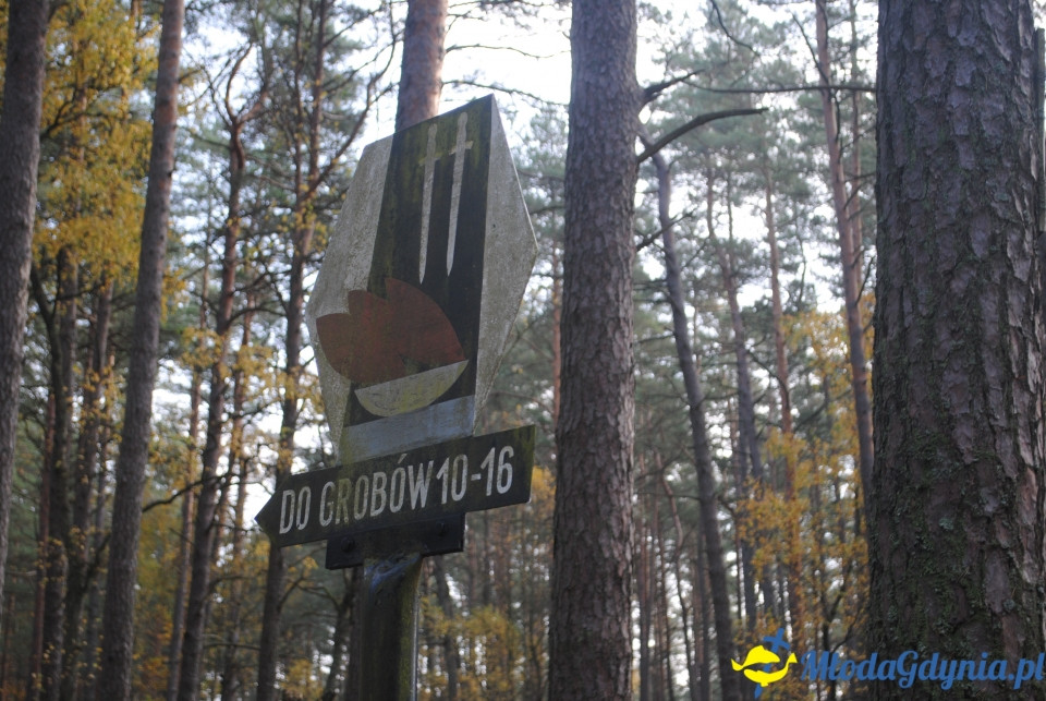 Ekonomik w Piaśnicy - 25.10.2019r.