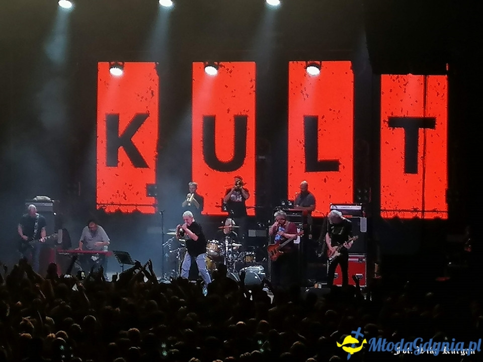Kult - Gdynia - 26.10.2019r.