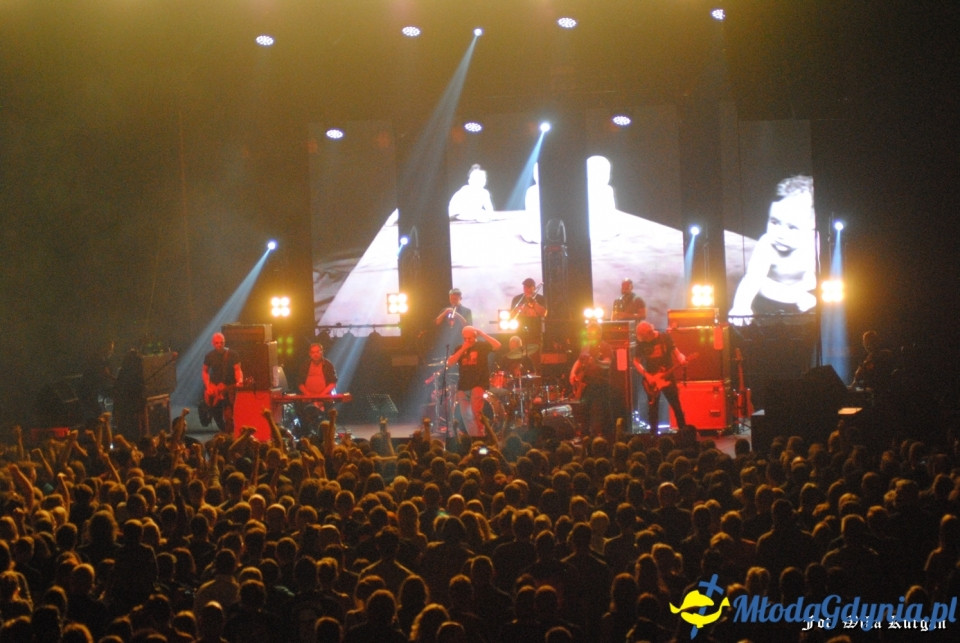 Kult - Gdynia - 26.10.2019r.