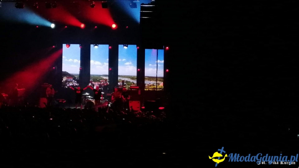 Kult - Gdynia - 26.10.2019r.