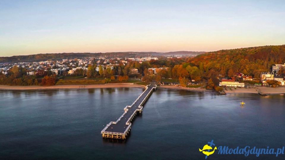 Transport miejski w Gdyni ? Okrągły Stół