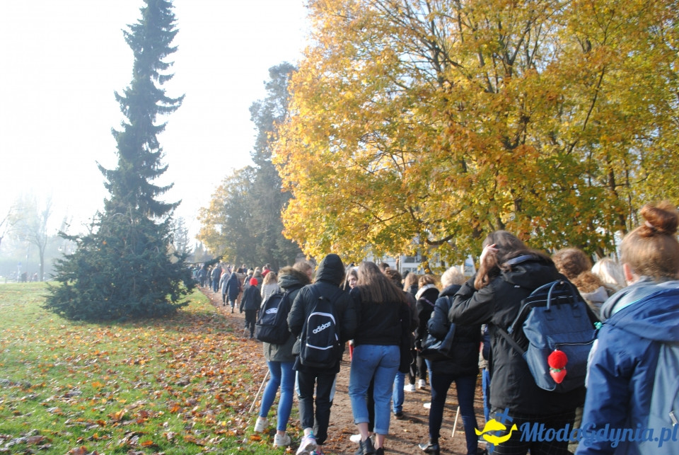 Orłowska Parada - 8.11.2019 r.