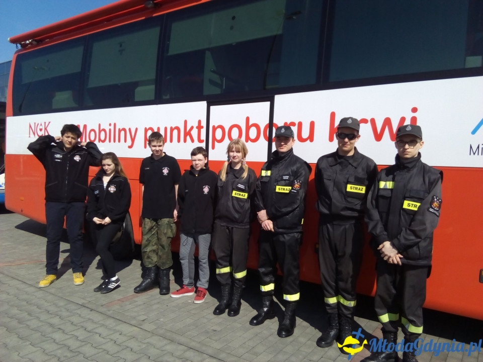 25 październik - Dzień Młodzieży PCK