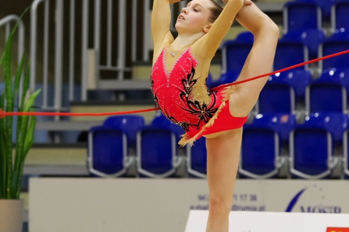 Drużynowe Mistrzostwa Polski Juniorek i Seniorek 2019 Rumia