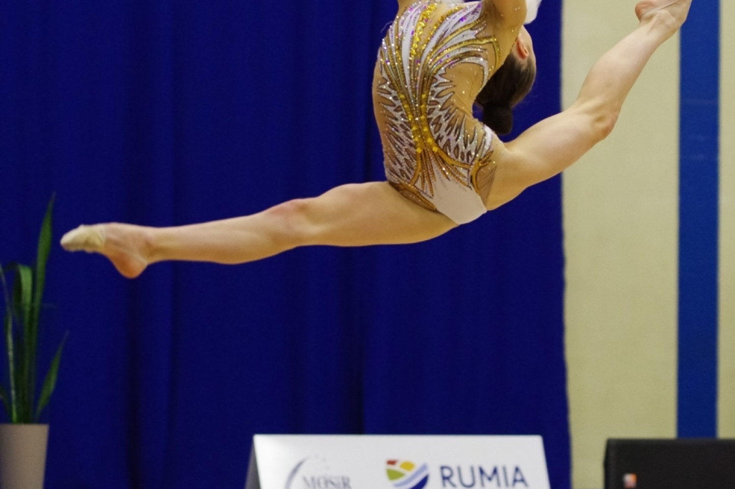 Drużynowe Mistrzostwa Polski Juniorek i Seniorek 2019 Rumia