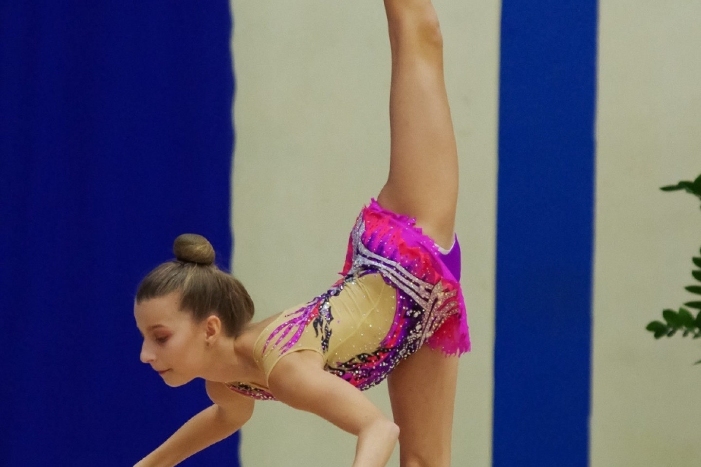 Drużynowe Mistrzostwa Polski Juniorek i Seniorek 2019 Rumia
