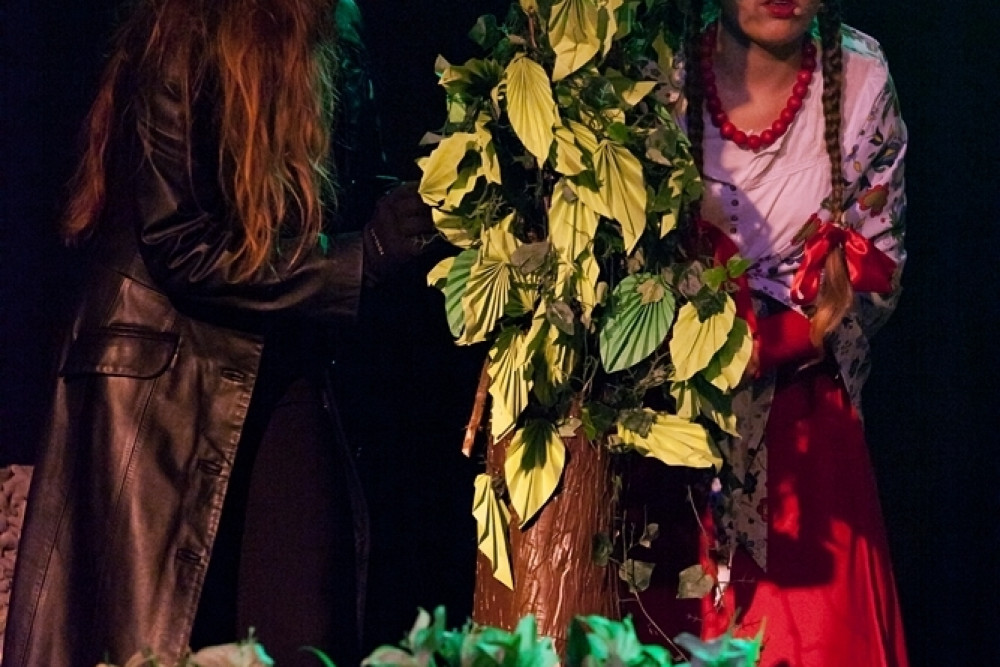 Kurtyna 2019